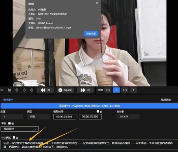 视频多模型标签提取